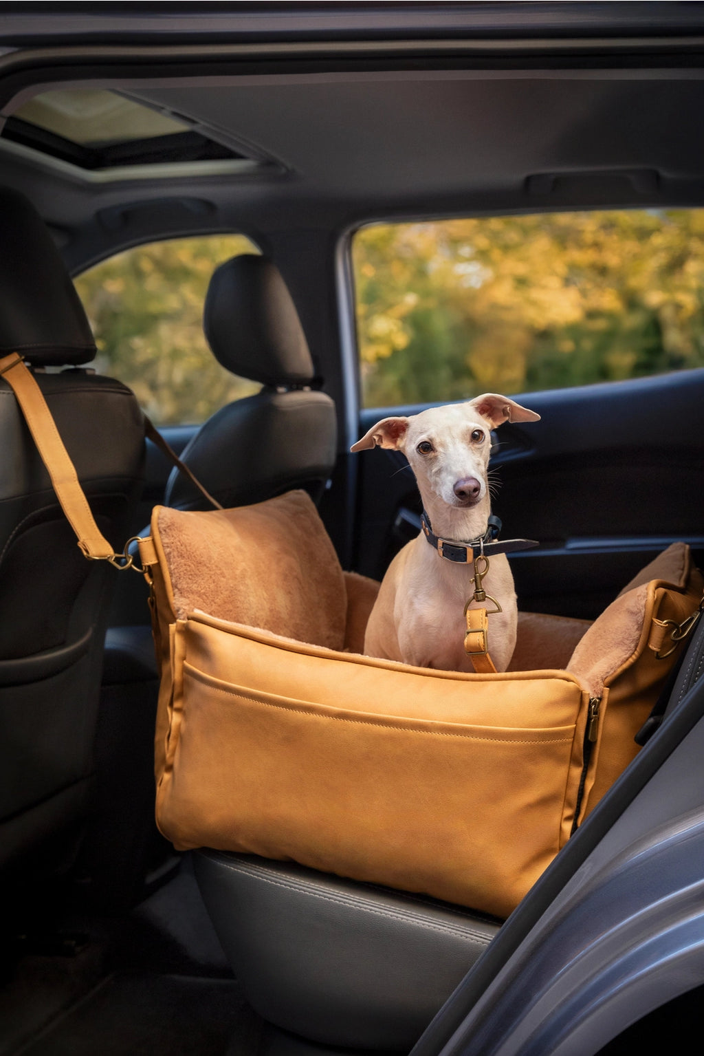 Precious Pup Lux Car Seat Bag - Noah & Paw