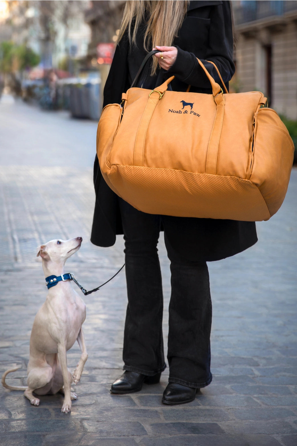 Precious Pup Lux Car Seat Bag - Noah & Paw