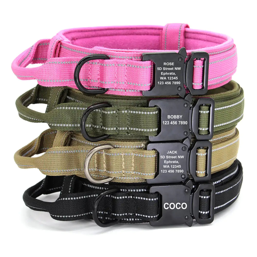Premium Dog Collar